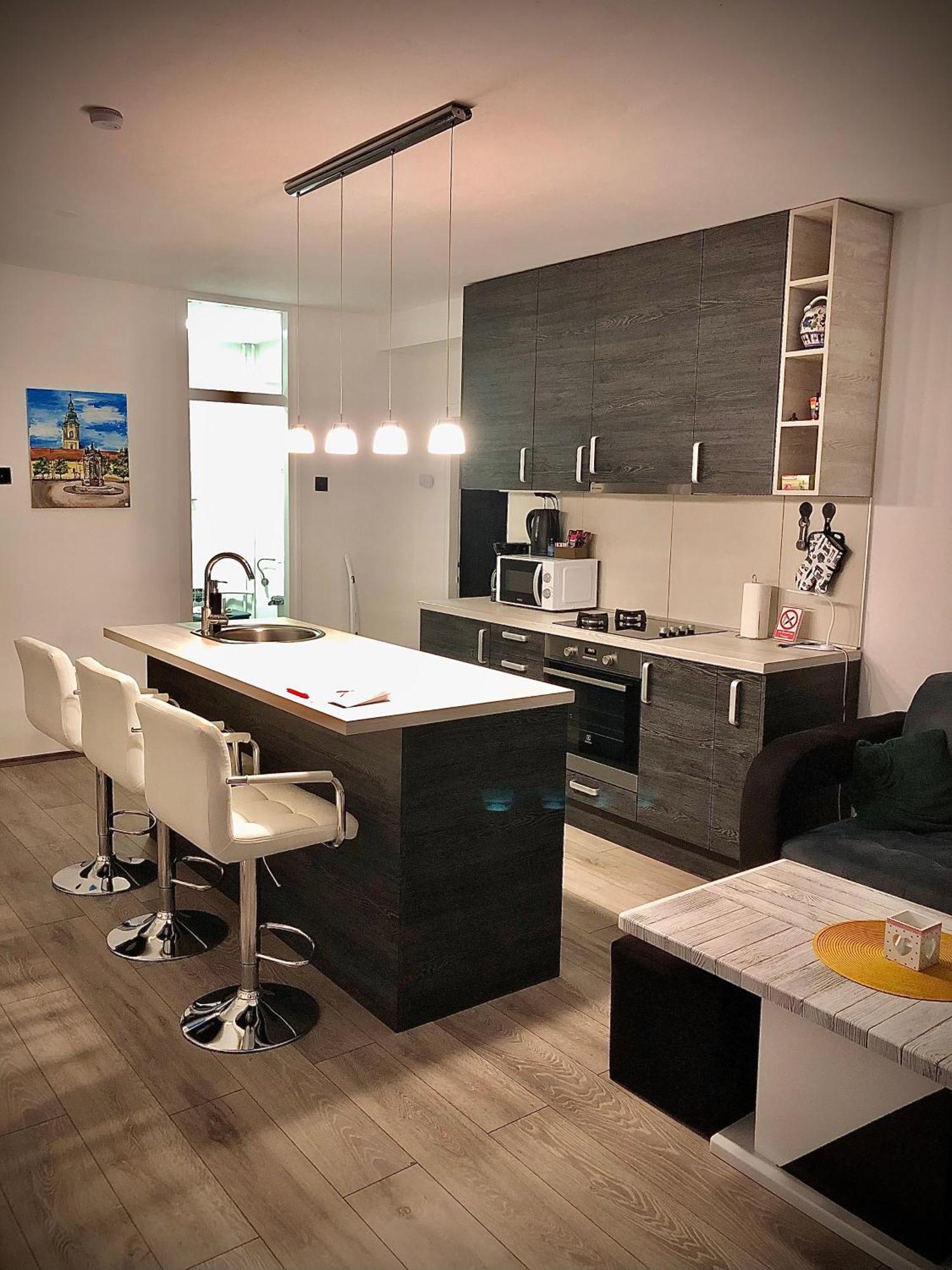 Treba Malo Odmorit - Self Check-In Option, Family Room, Ps4 Pro, Free Parking Karlovac Buitenkant foto