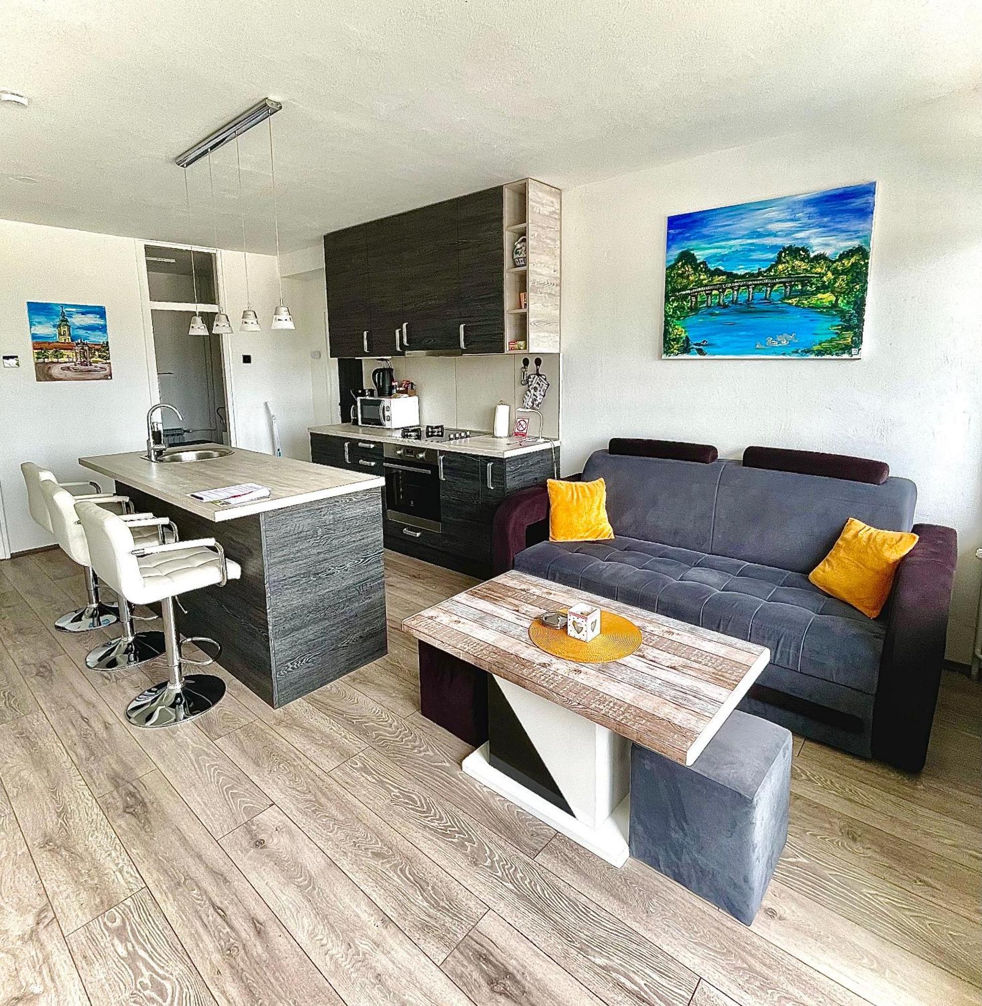 Treba Malo Odmorit - Self Check-In Option, Family Room, Ps4 Pro, Free Parking Karlovac Buitenkant foto